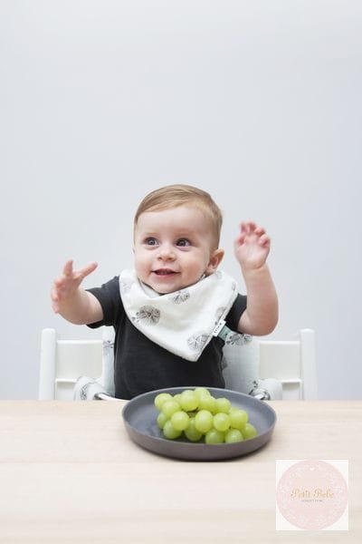 Blowfish śliniak/bandanka 43 x 16cm cm