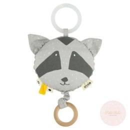 Mr. Raccoon pozytywka