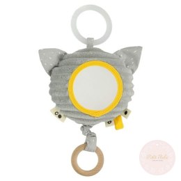 Mr. Raccoon pozytywka