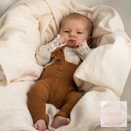 LEGGINSY COTTON WINGS NA SZELKACHC CINNAMON CONDOR #688